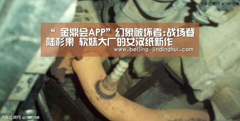  金鼎会官网